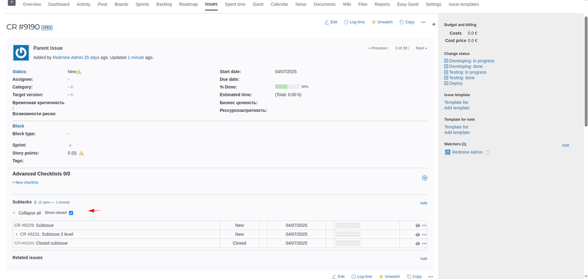 Customizable display of subissues